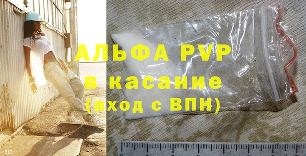 прущие грибы Беломорск