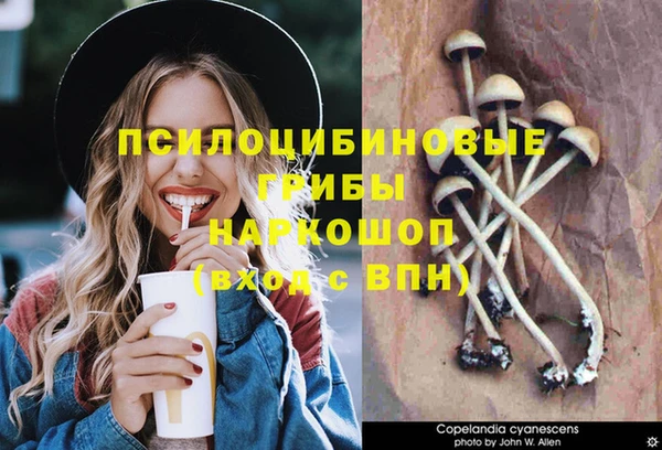 спайс Белокуриха