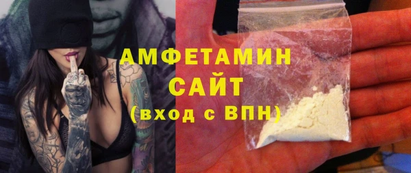 прущие грибы Беломорск