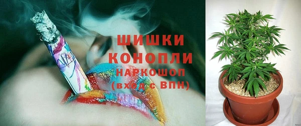 спайс Белокуриха