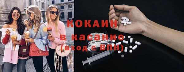 прущие грибы Беломорск