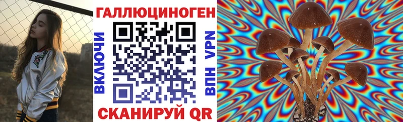 blacksprut онион Усмань Псилоцибиновые грибы прущие грибы